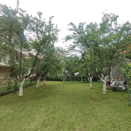 Paradise * Saraybosna