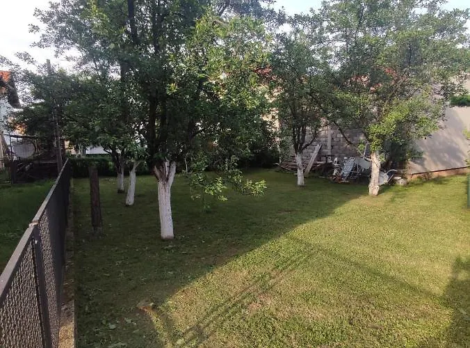 Paradise Apartamento