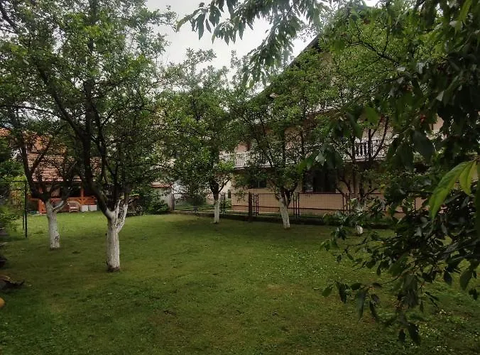 Paradise Apartamento *